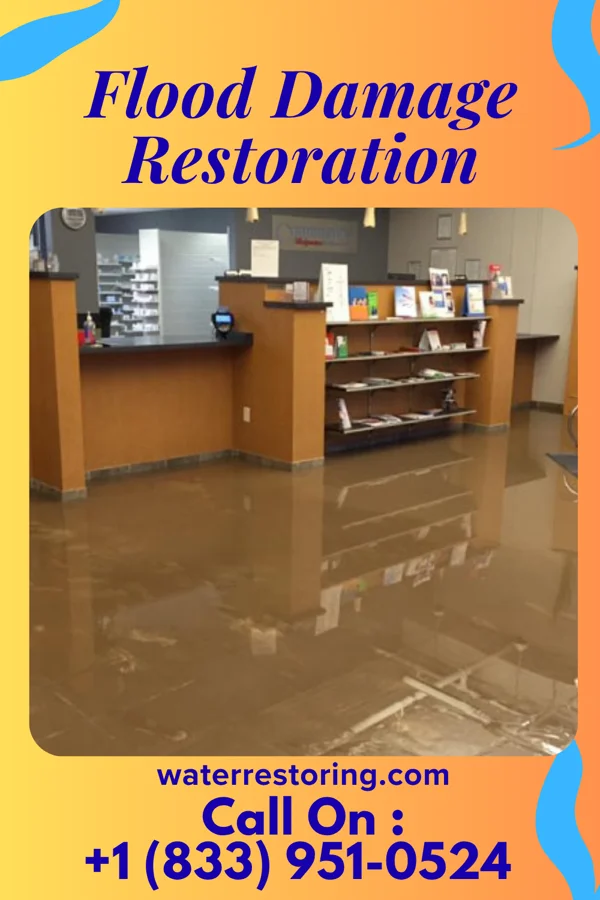 Flood Damage Restoration in Clinton, MS