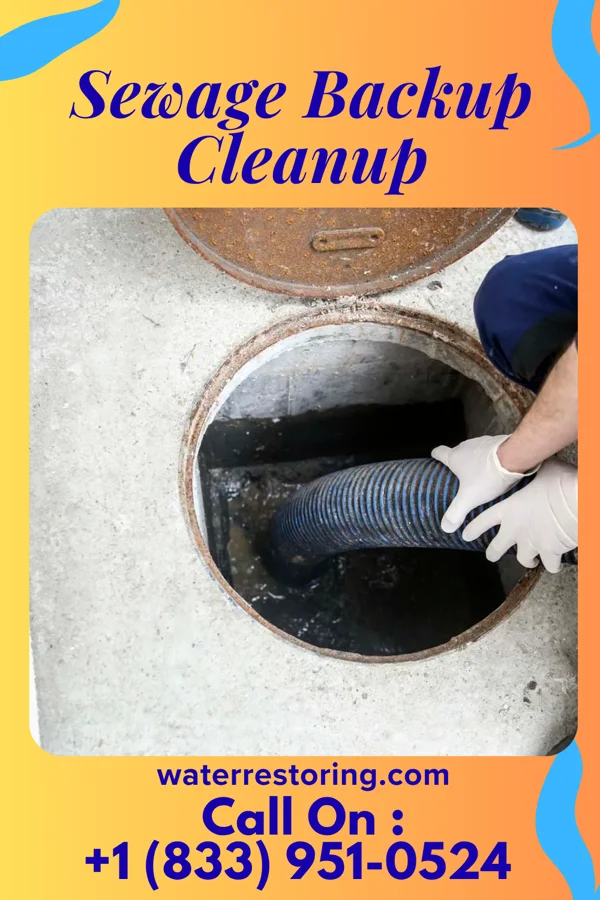 Sewage Backup Cleanup in Clinton, MS