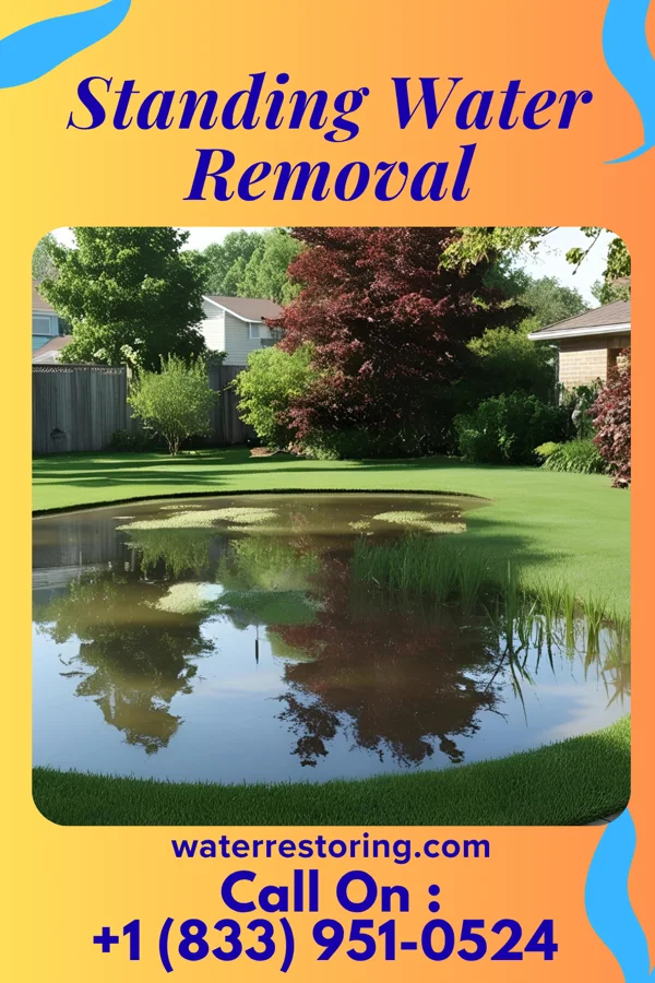 Standing Water Removal in Clinton, MS